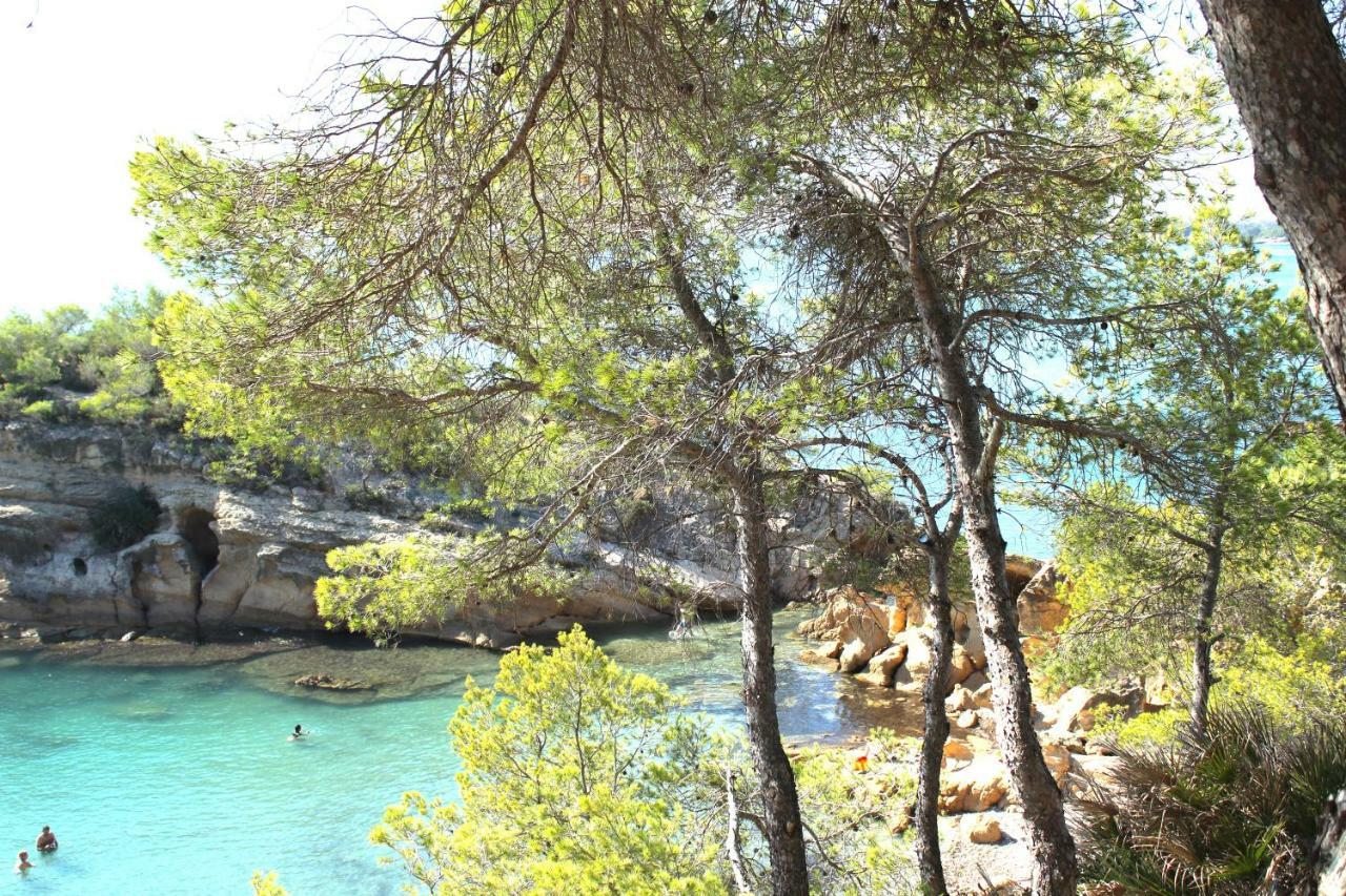 Bonito Loft En L'Ampolla Daire Dış mekan fotoğraf